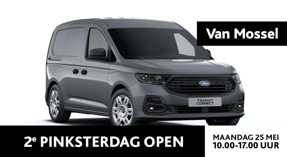 Ford-Transit Connect-image-0