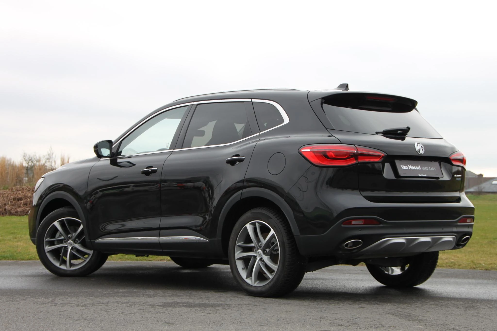 MG-EHS-image-5