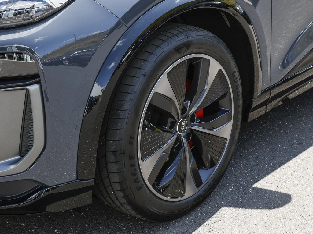 Audi Q6 e-tron quattro S line Matrix B&O ACC Kamea