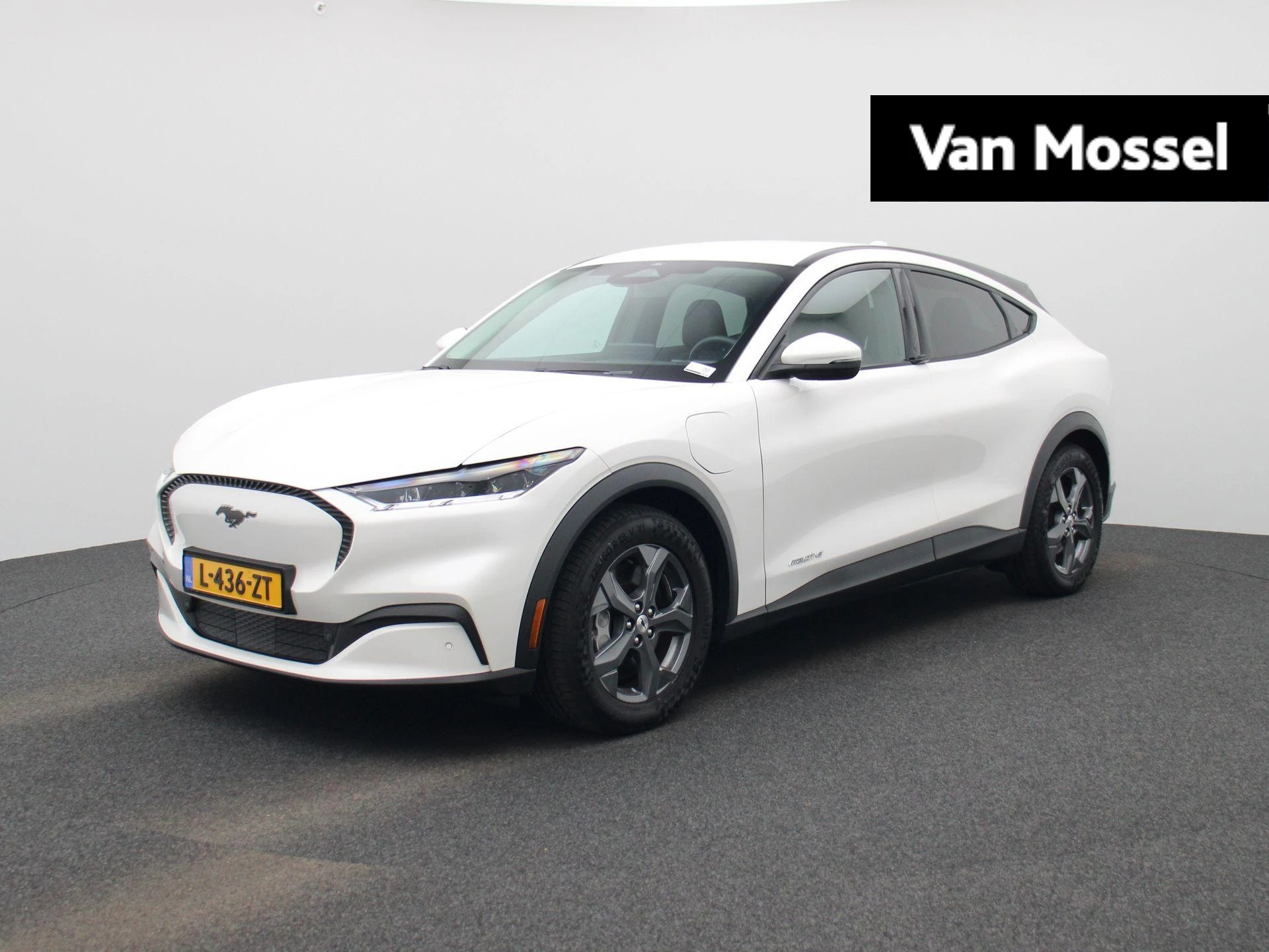 Ford-Mustang Mach-E-image-0