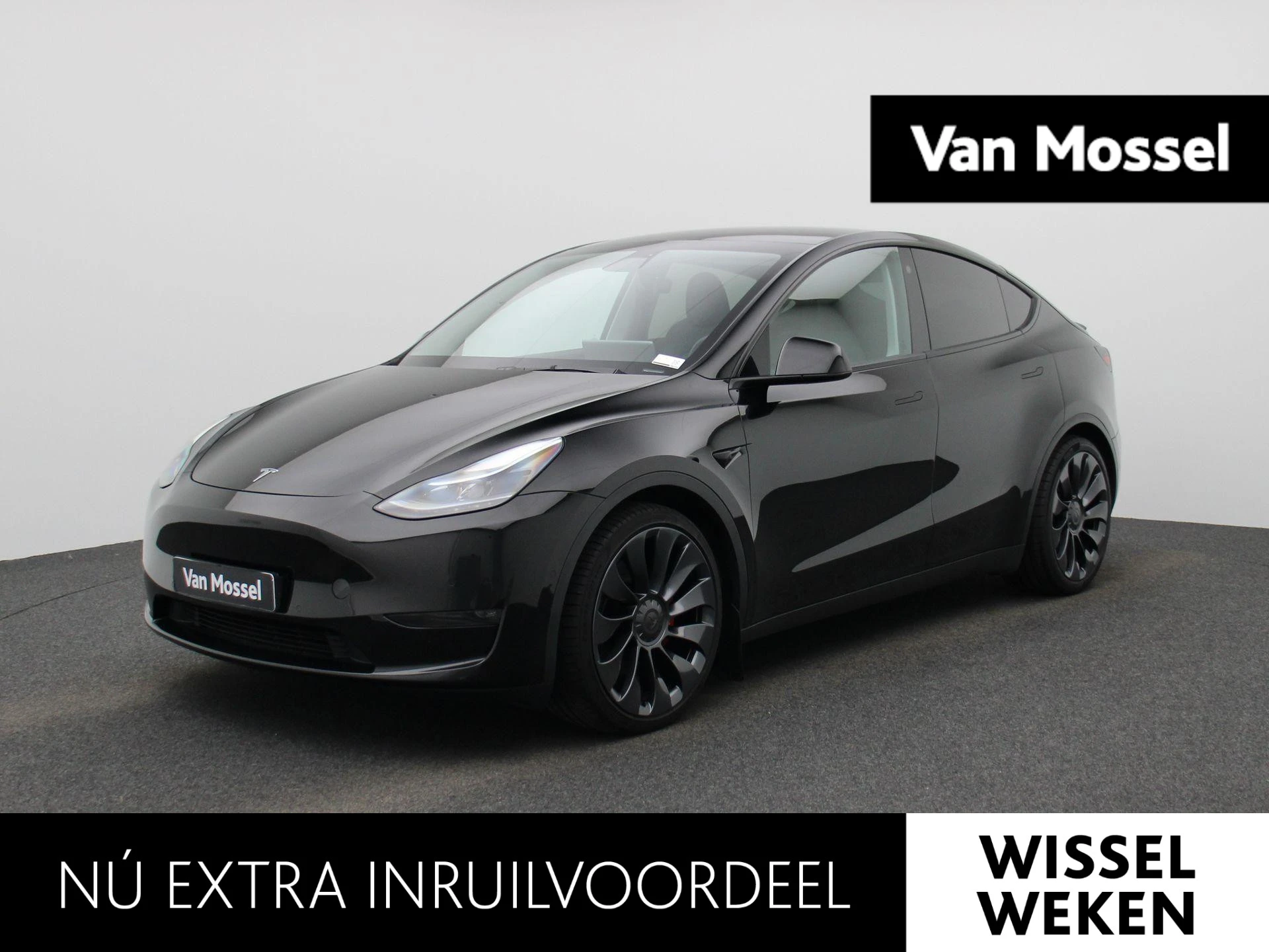 Tesla-Model Y-image-0