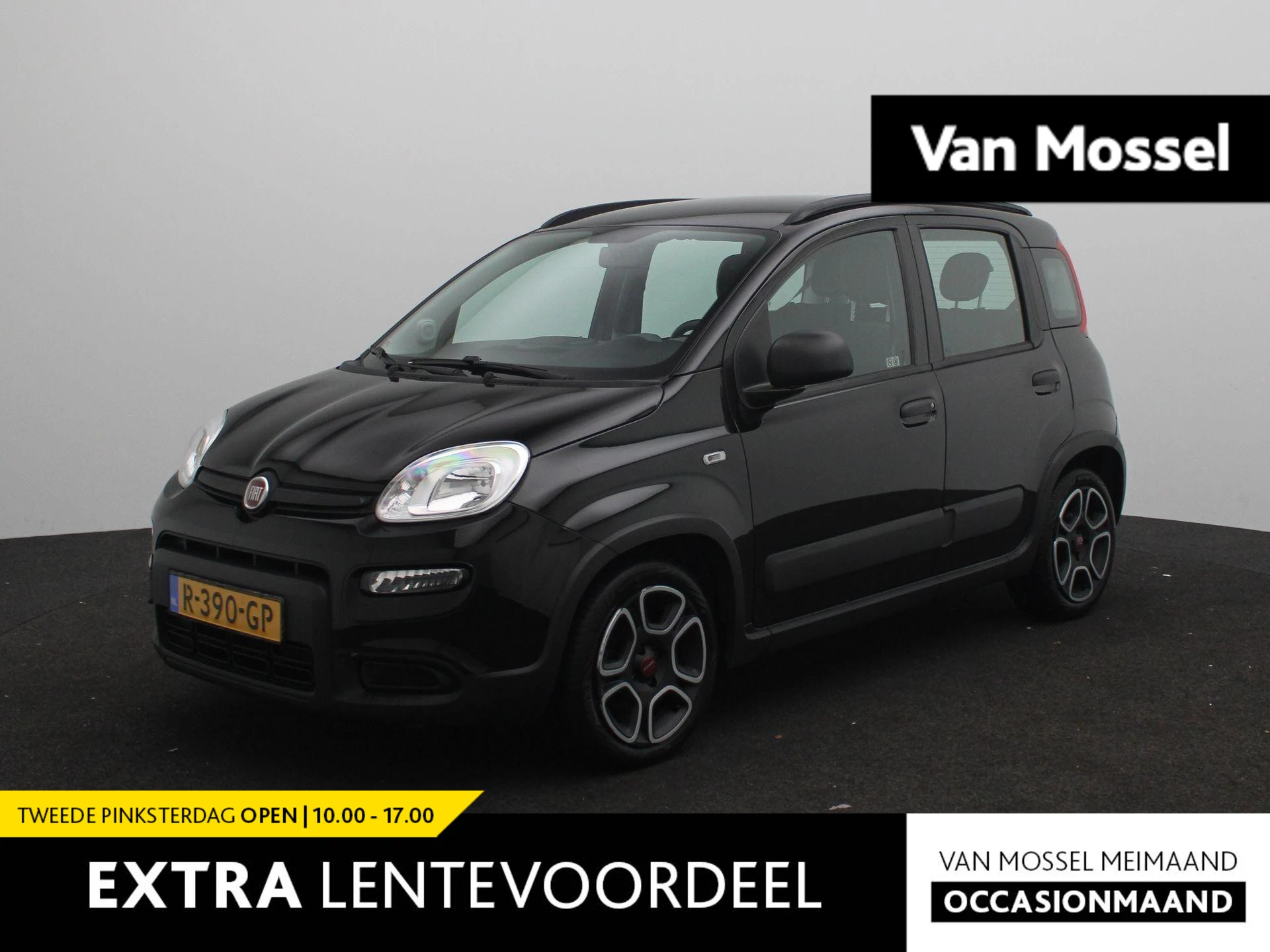 Fiat-Panda-image-0