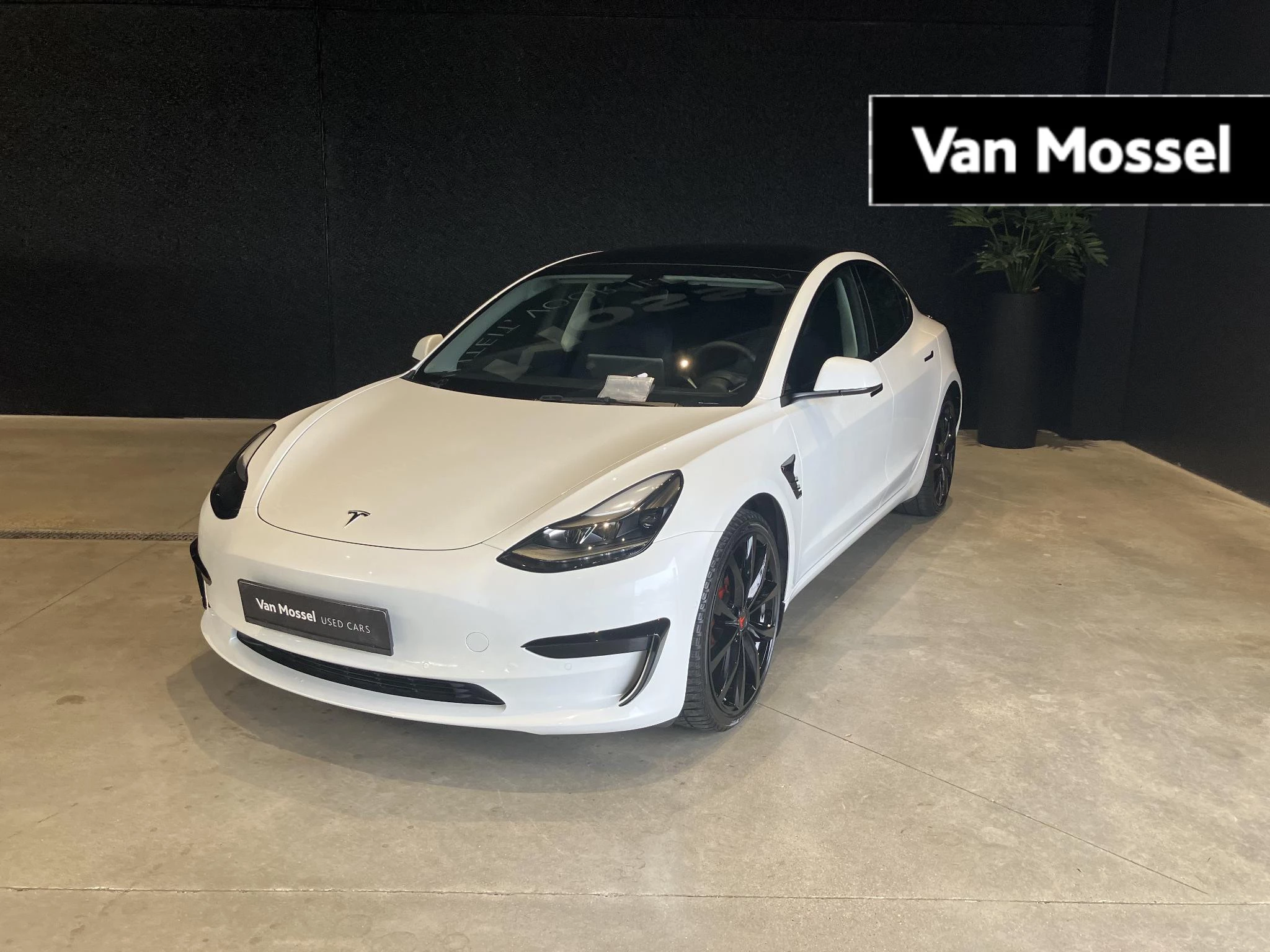 Tesla-Model 3-image-0