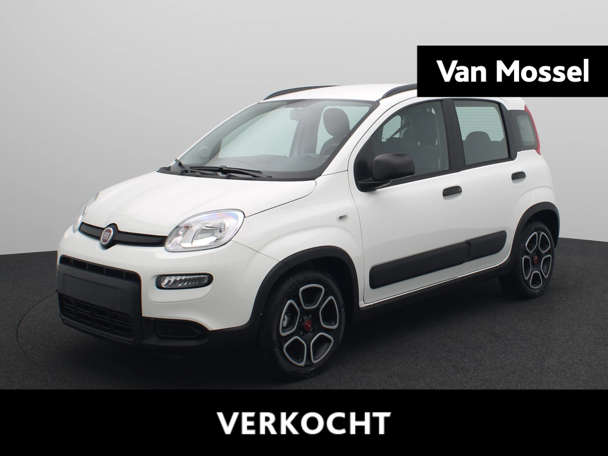 Fiat-Panda-image-0