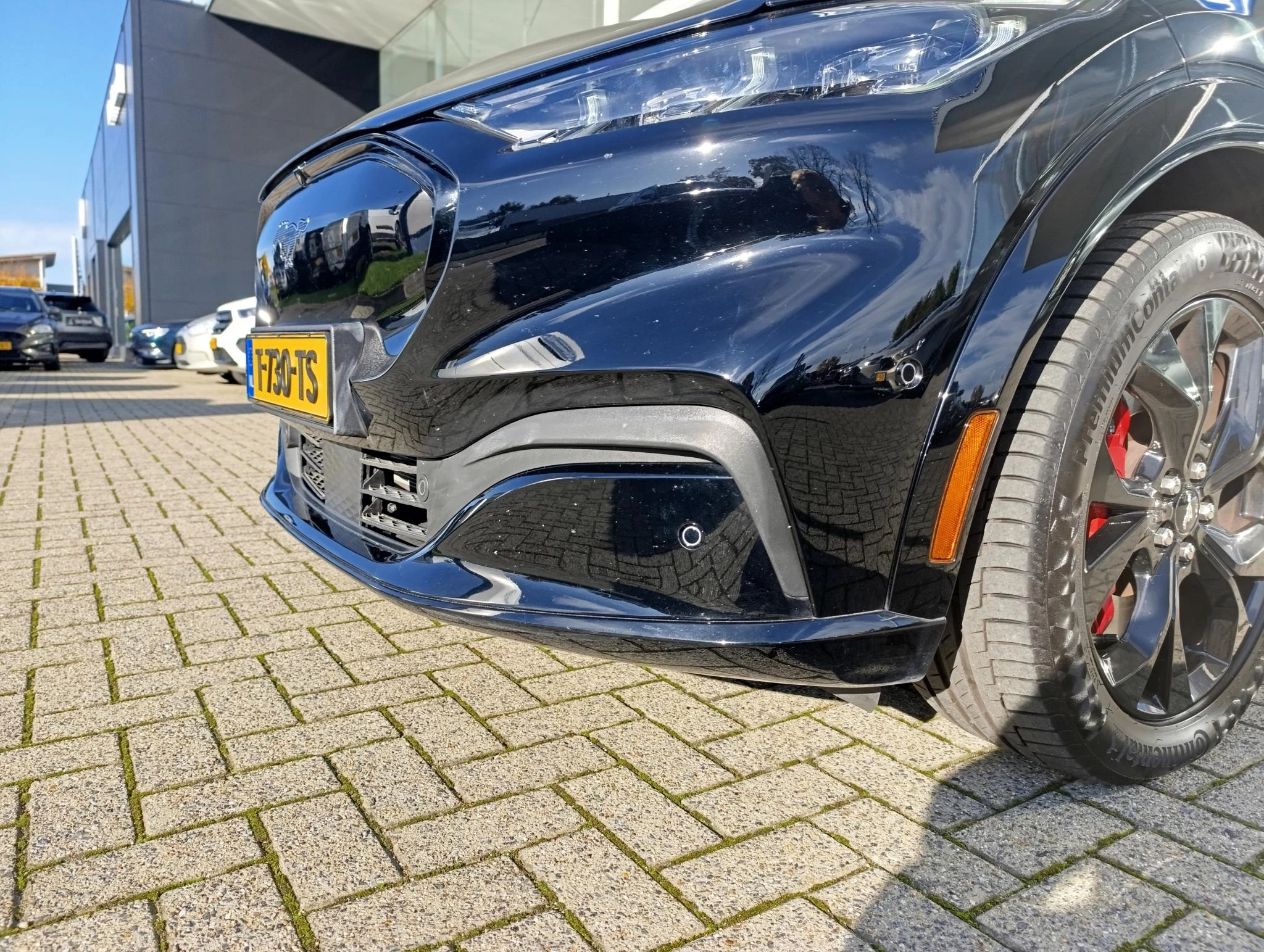 Ford-Mustang Mach-E-image-6