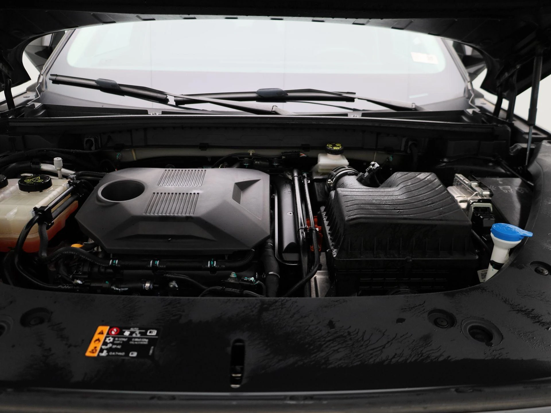 MG-HS-image-31