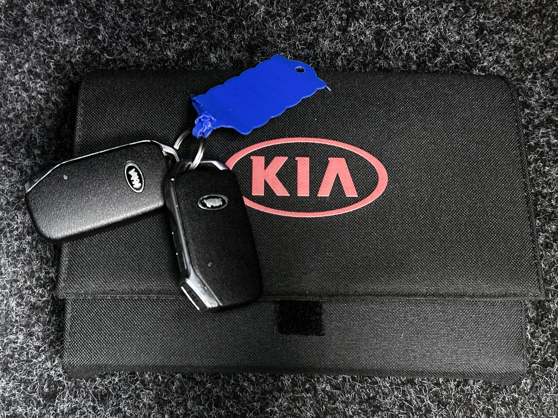 Kia-Niro-image-31