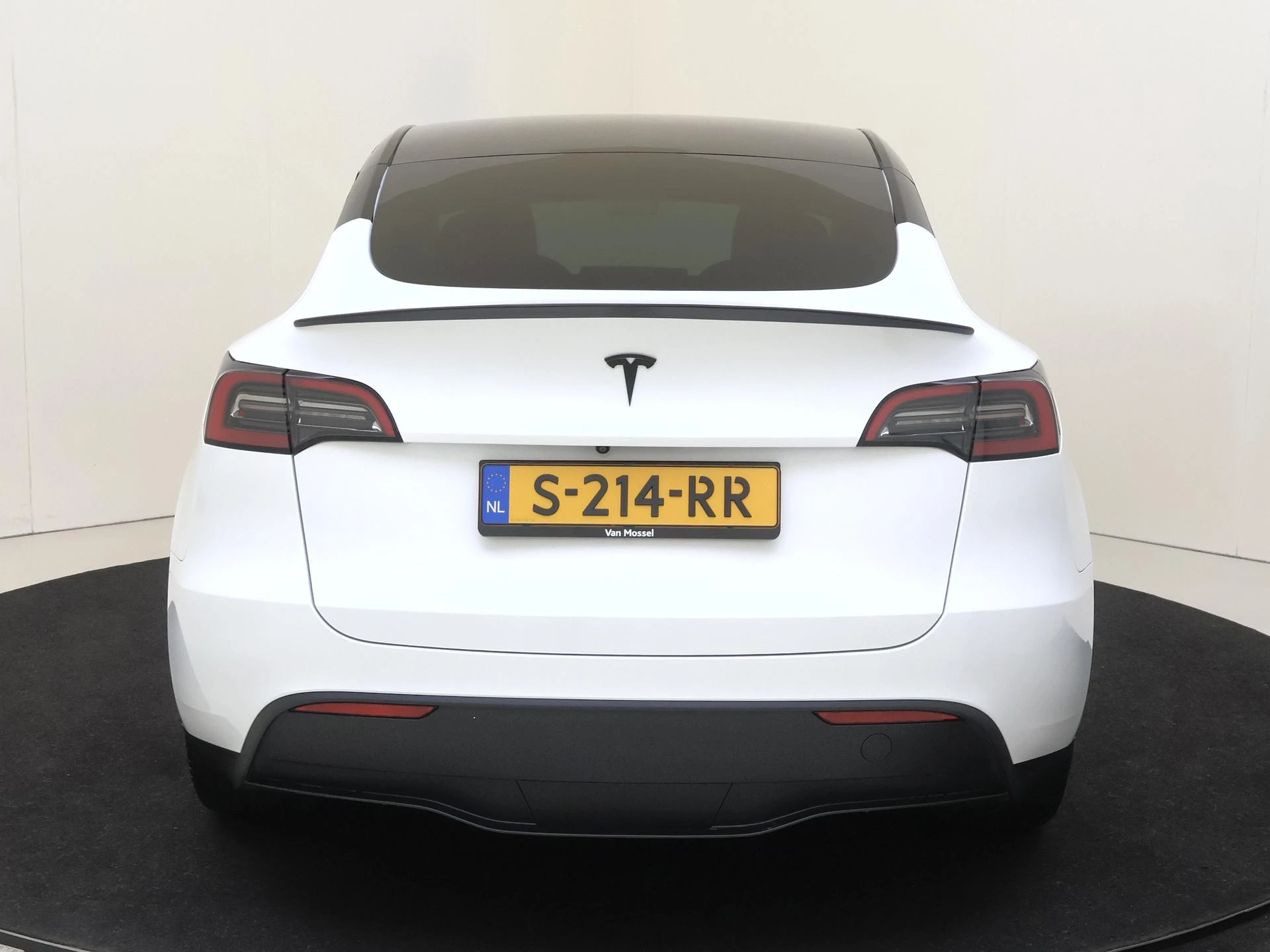 Tesla-Model Y-image-6