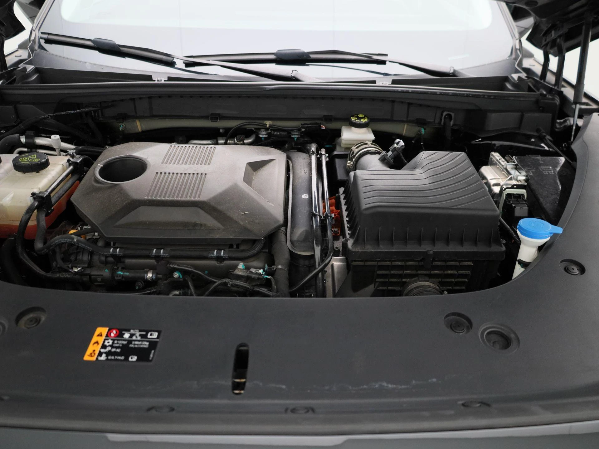 MG-HS-image-31