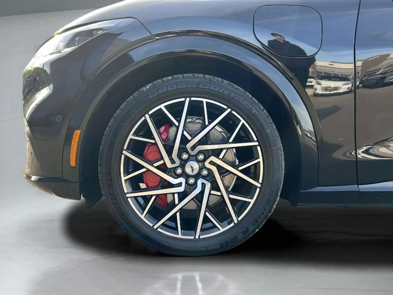 Ford-Mustang Mach-E-image-8