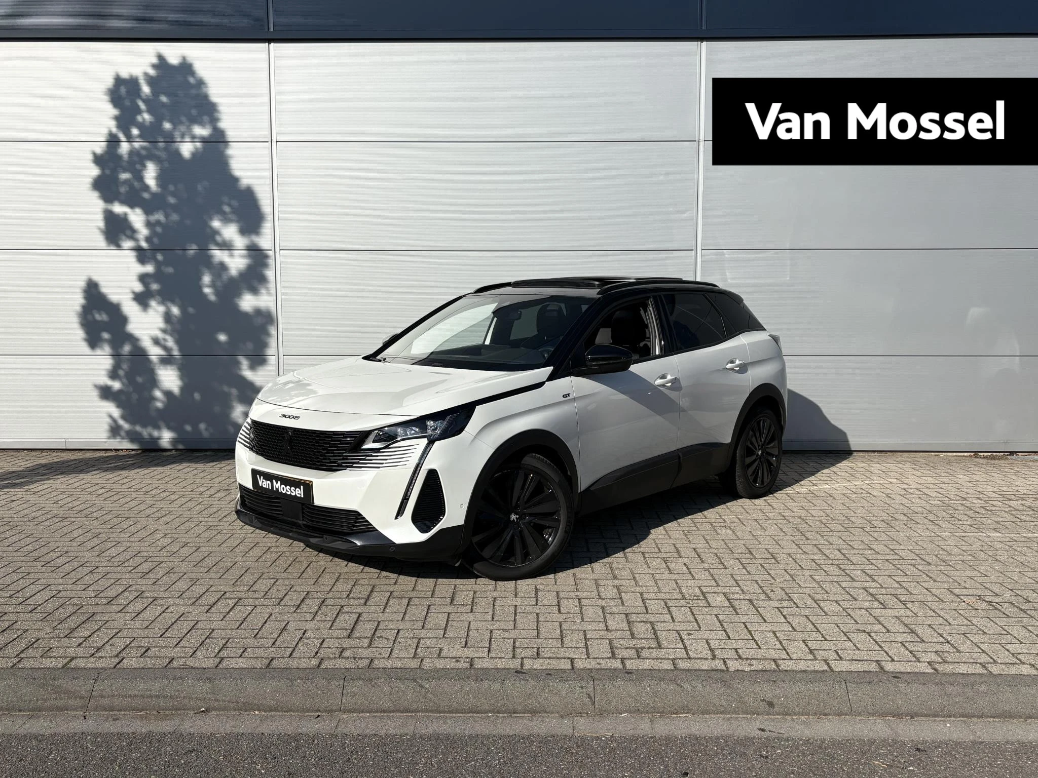Peugeot-3008-image-0