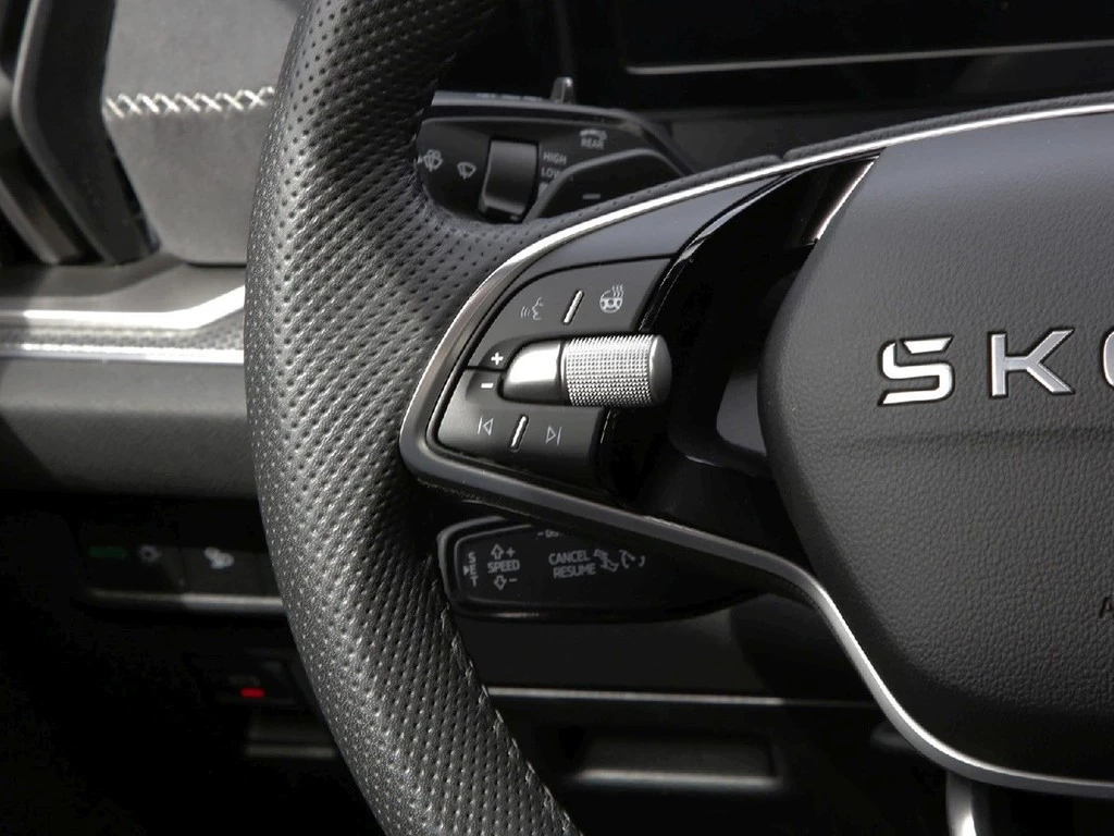 Škoda Kodiaq 2.0 TDI DSG 4x4 Sportline '20 ACC 7Sitzer
