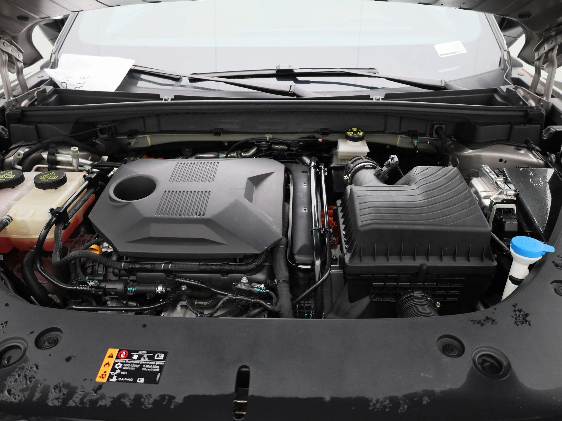 MG-HS-image-37