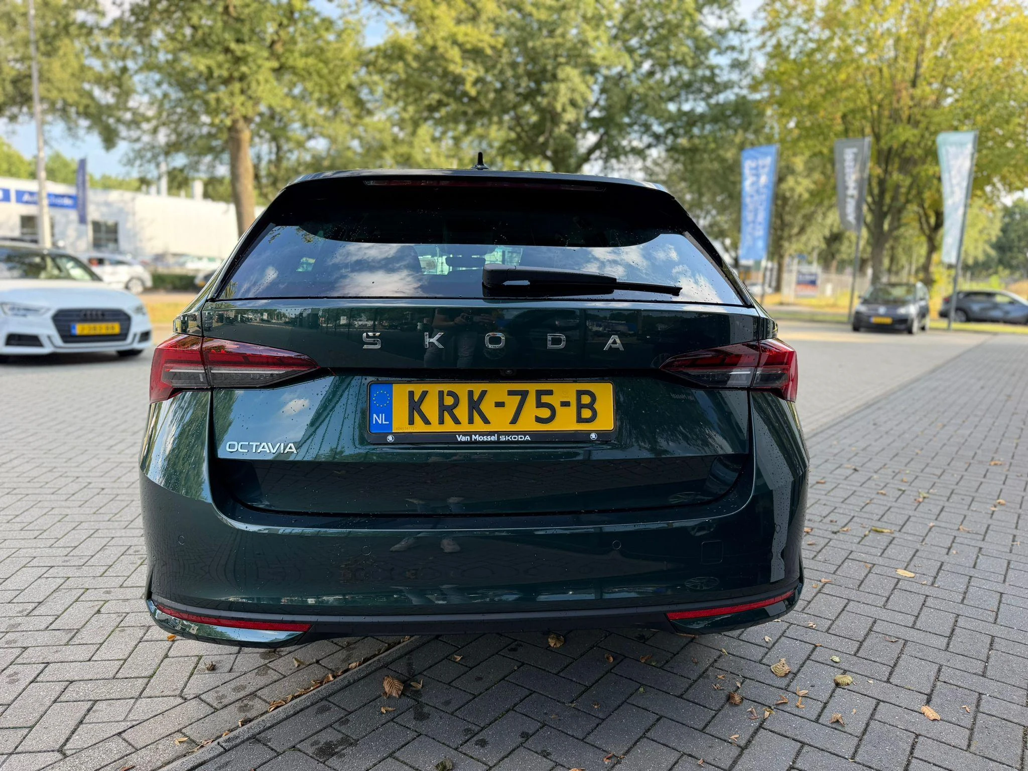 Škoda-Octavia-image-2