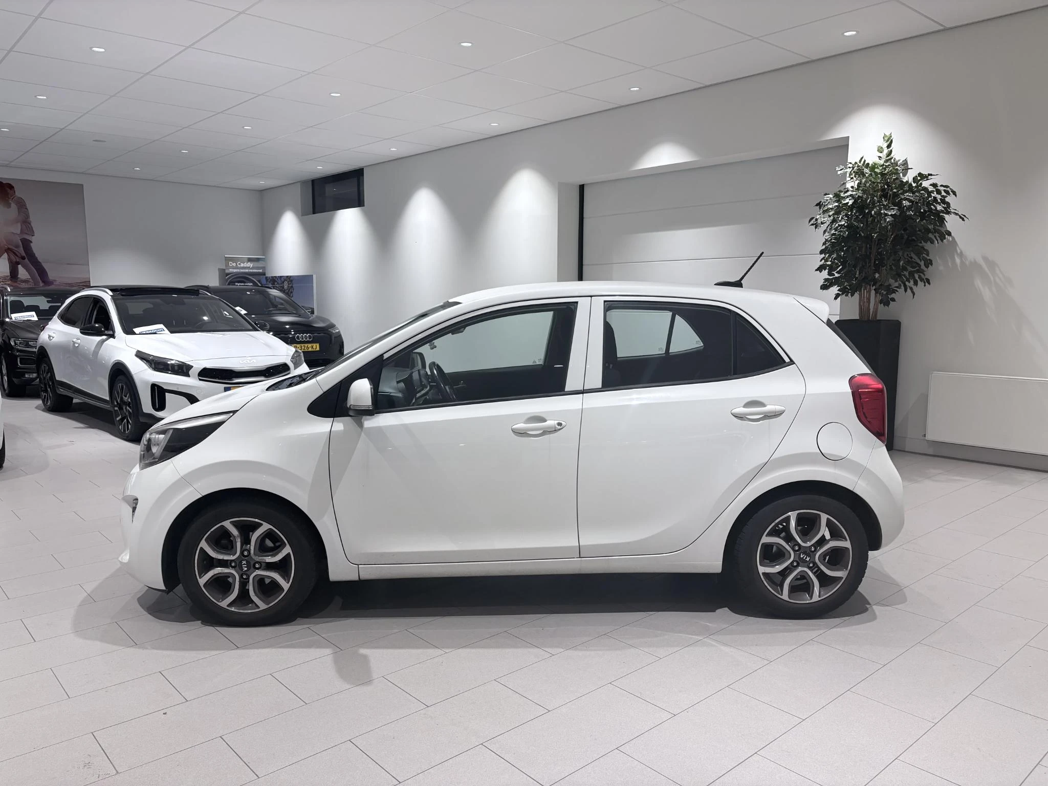 Kia-Picanto-image-1