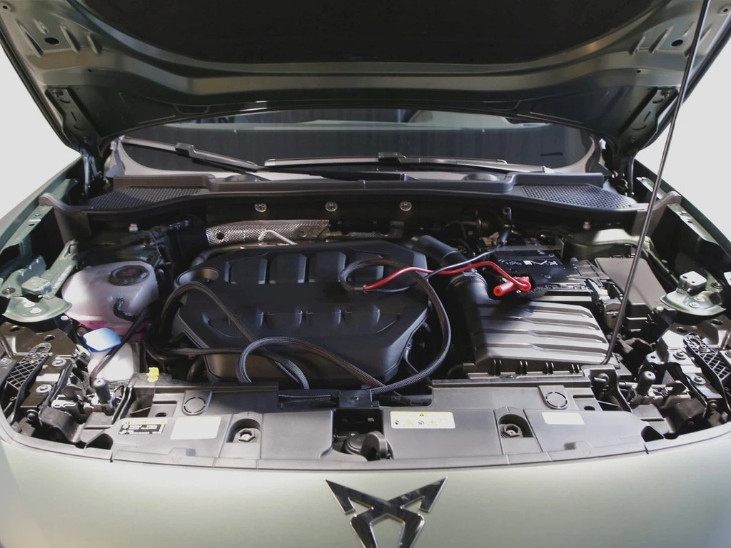 CUPRA Formentor VZ Tribe Ed. 2.0 TSI UPE 66.160 Matrix