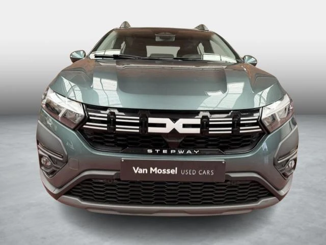 Dacia-Sandero Stepway-image-1