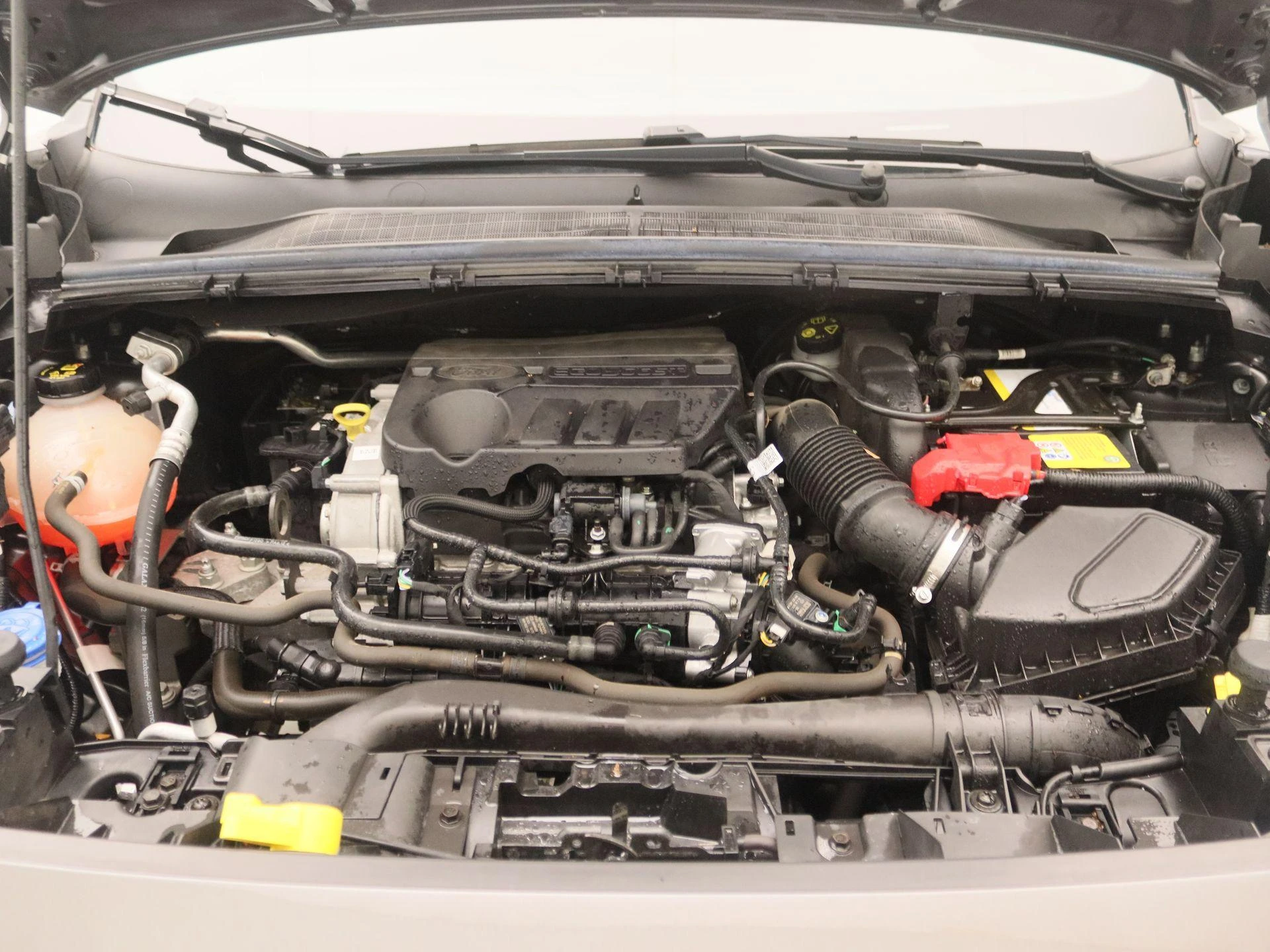 Ford-Puma-image-26
