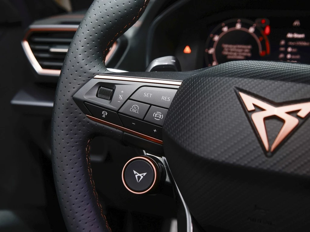 CUPRA Formentor VZ 2.0 TSI 195kW/265PS 7-Gang-DSG CAL