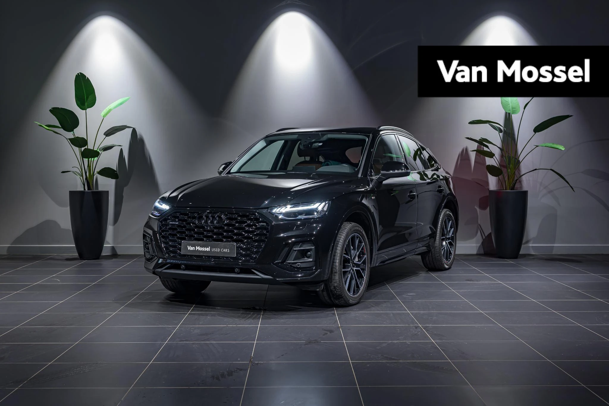 Audi-Q5-image-0