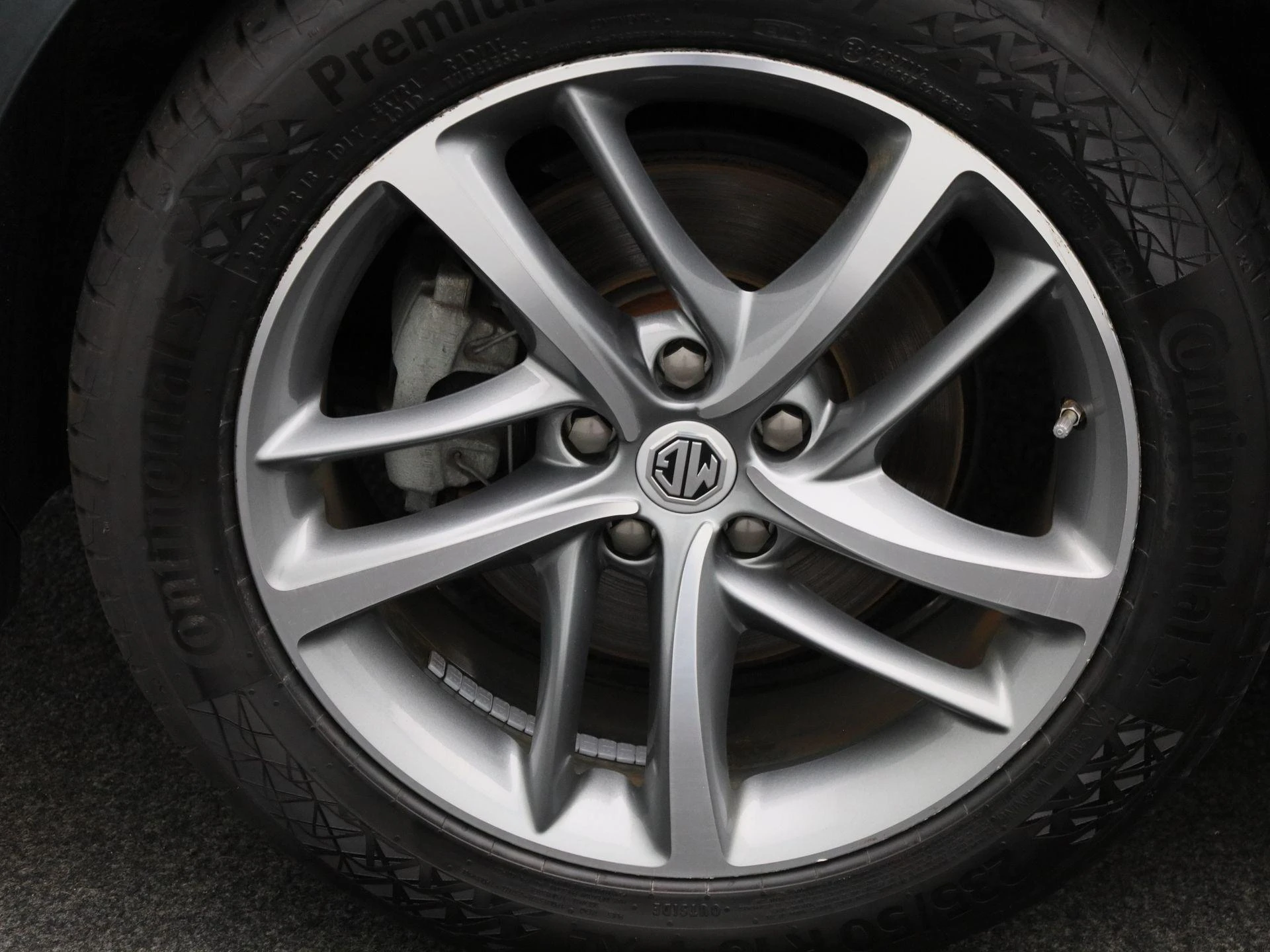 MG-EHS-image-13