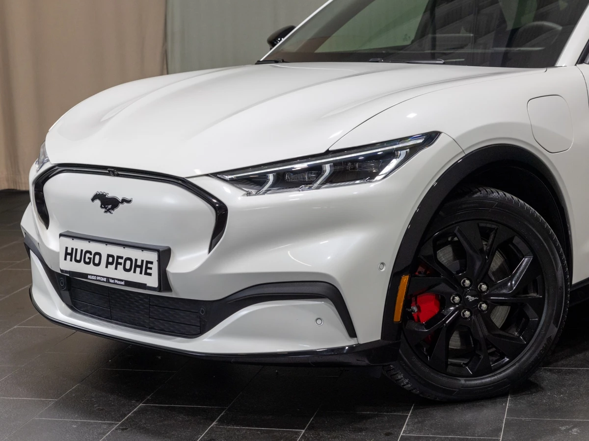 Ford-Mustang Mach-E-image-2