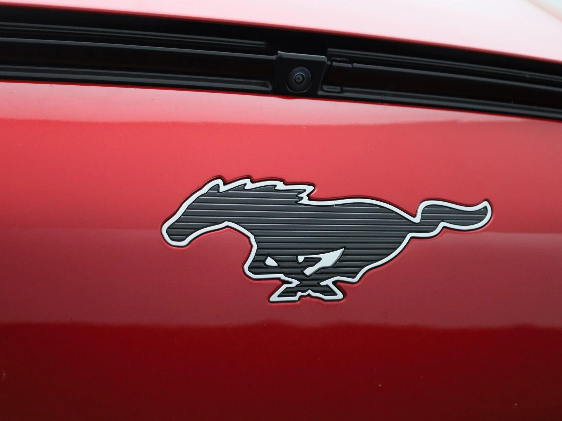 Ford-Mustang Mach-E-image-4