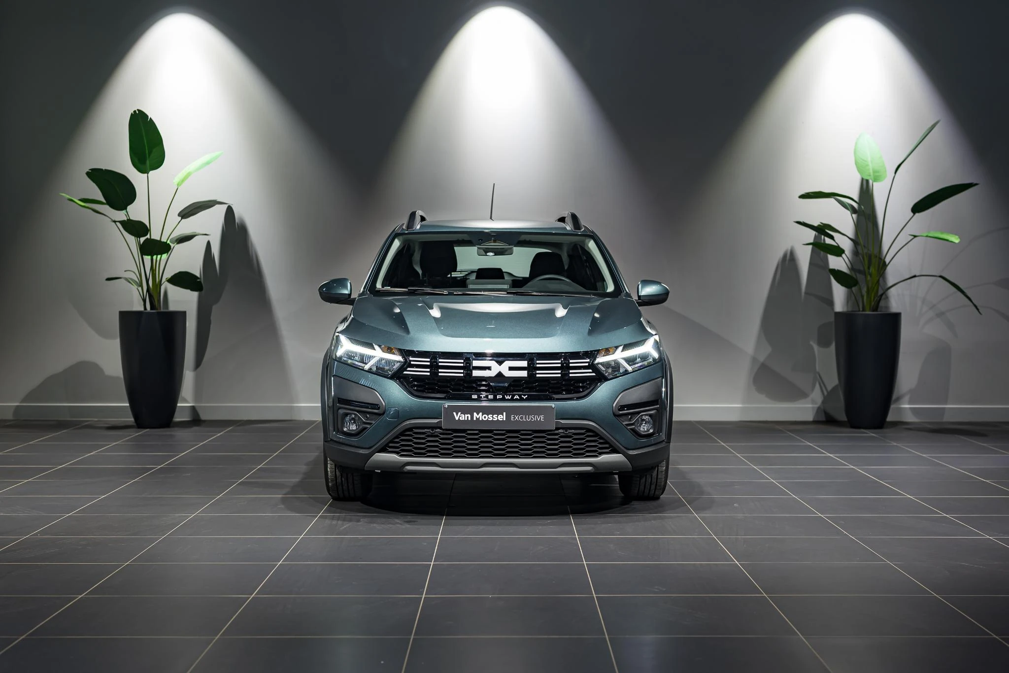 Dacia-Sandero Stepway-image-1