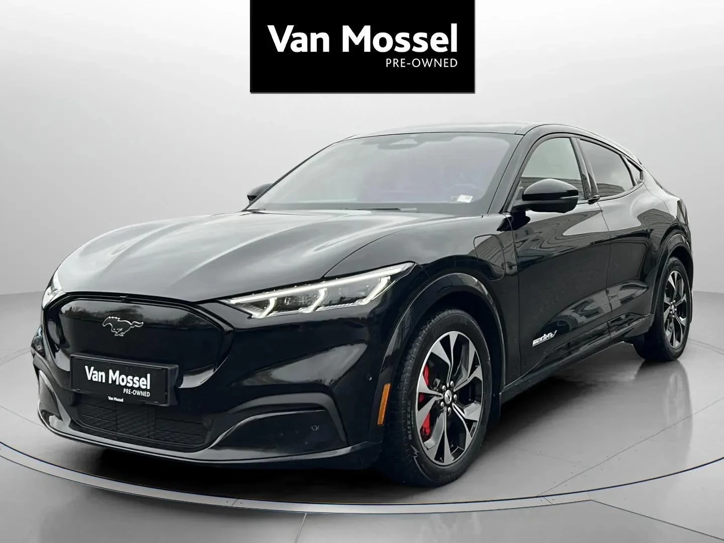 Ford-Mustang Mach-E-image-0