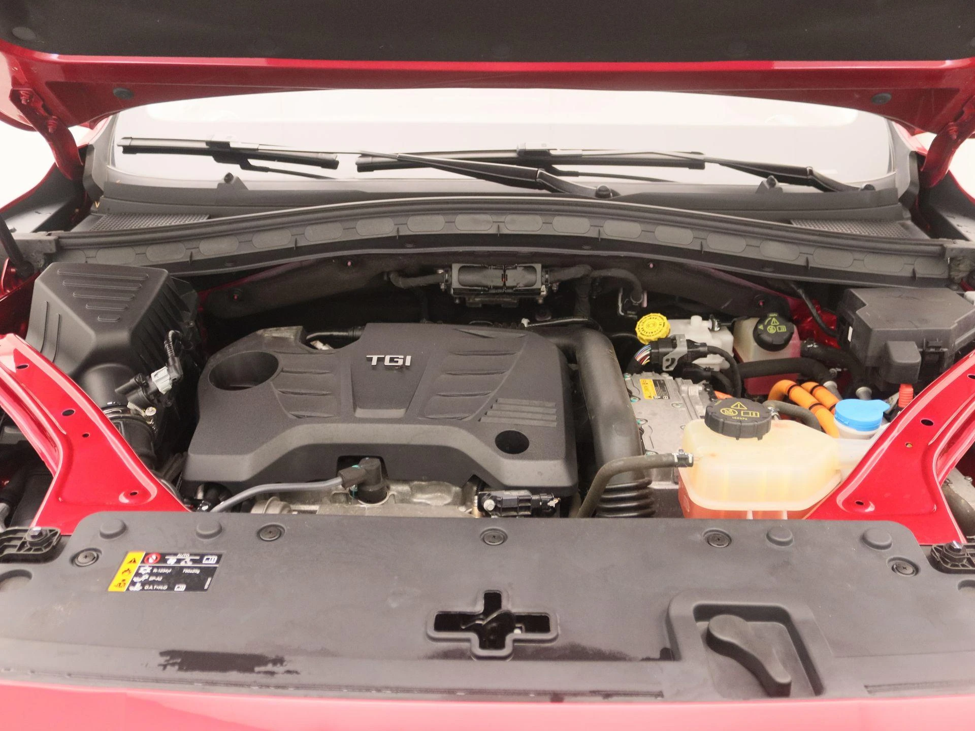MG-EHS-image-26