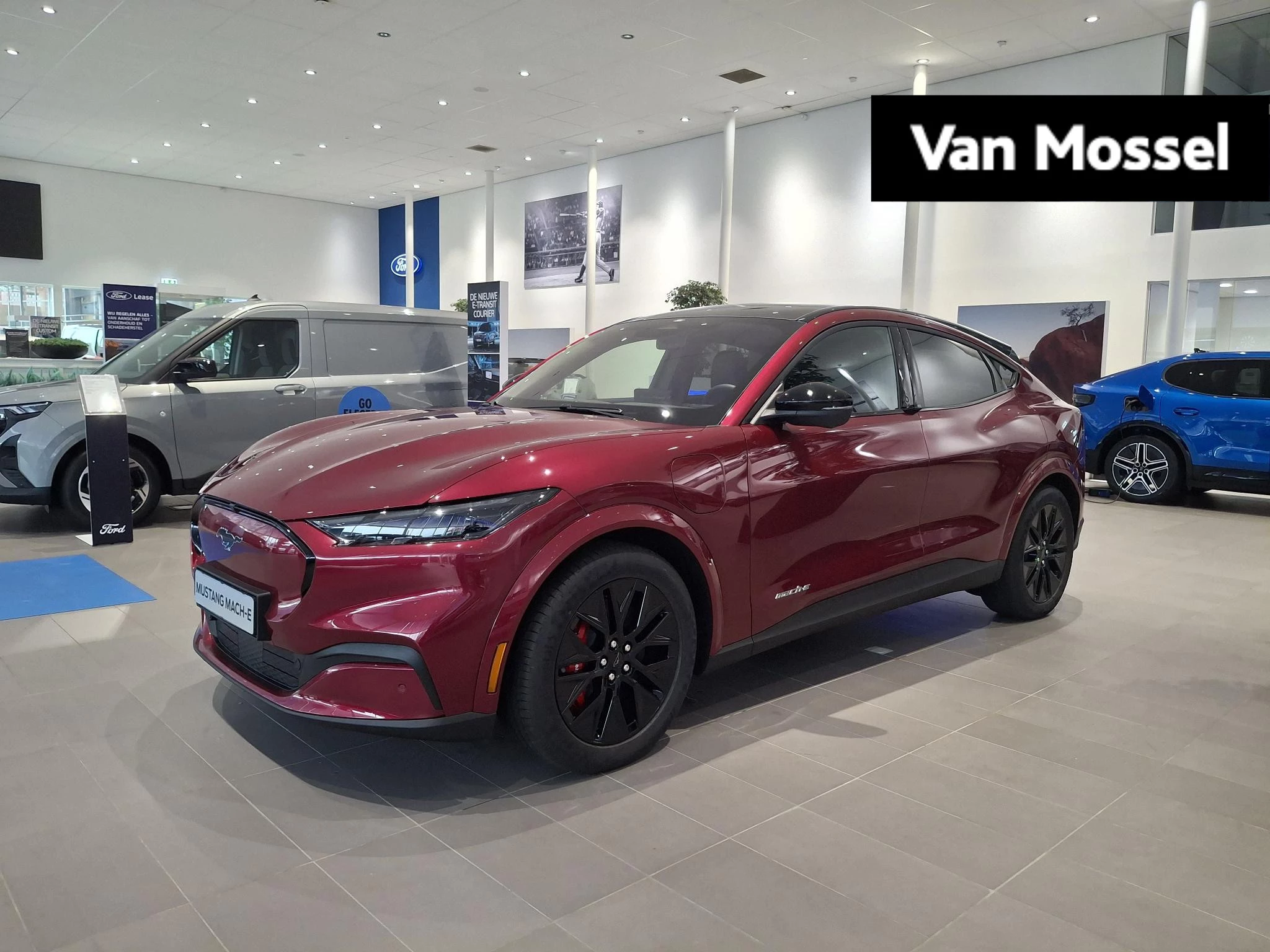 Ford-Mustang Mach-E-image-0