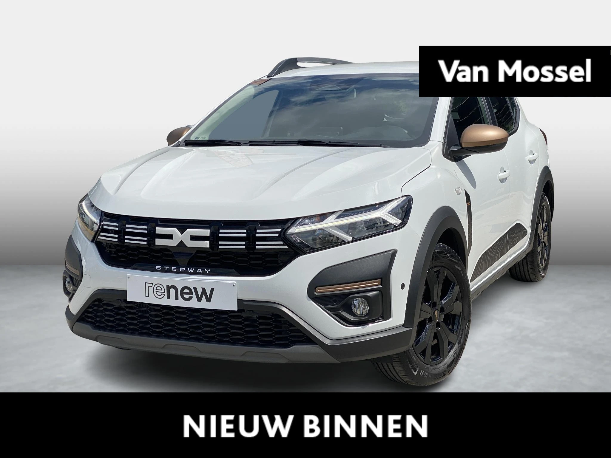 Dacia-Sandero Stepway-image-0