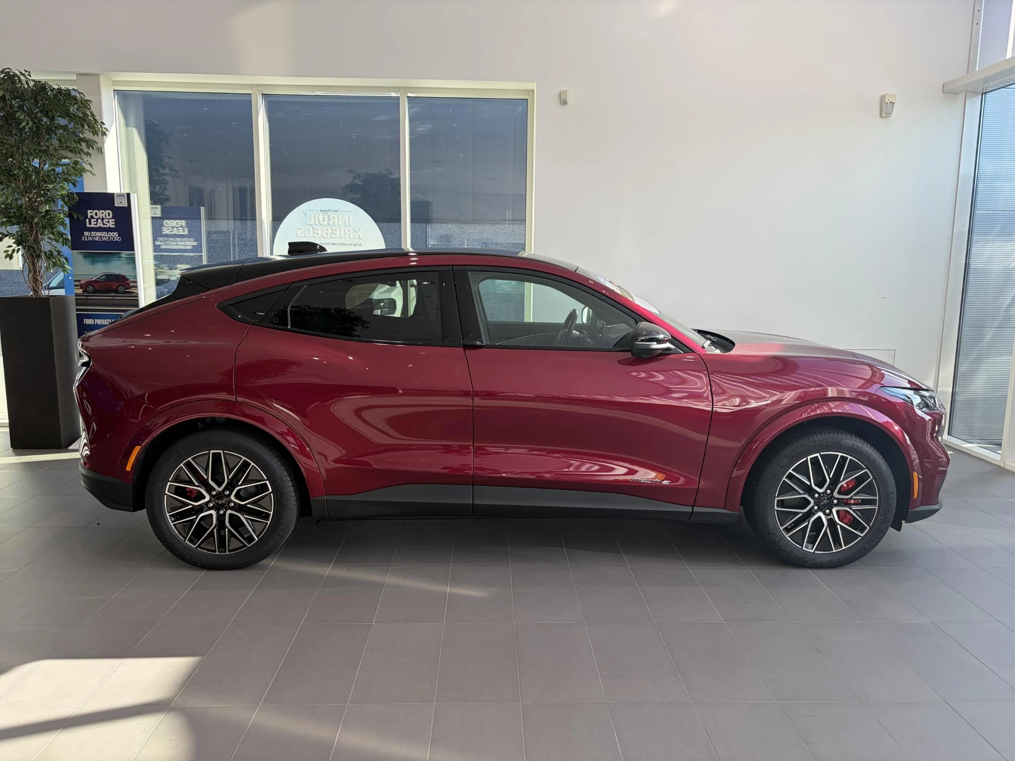 Ford-Mustang Mach-E-image-4