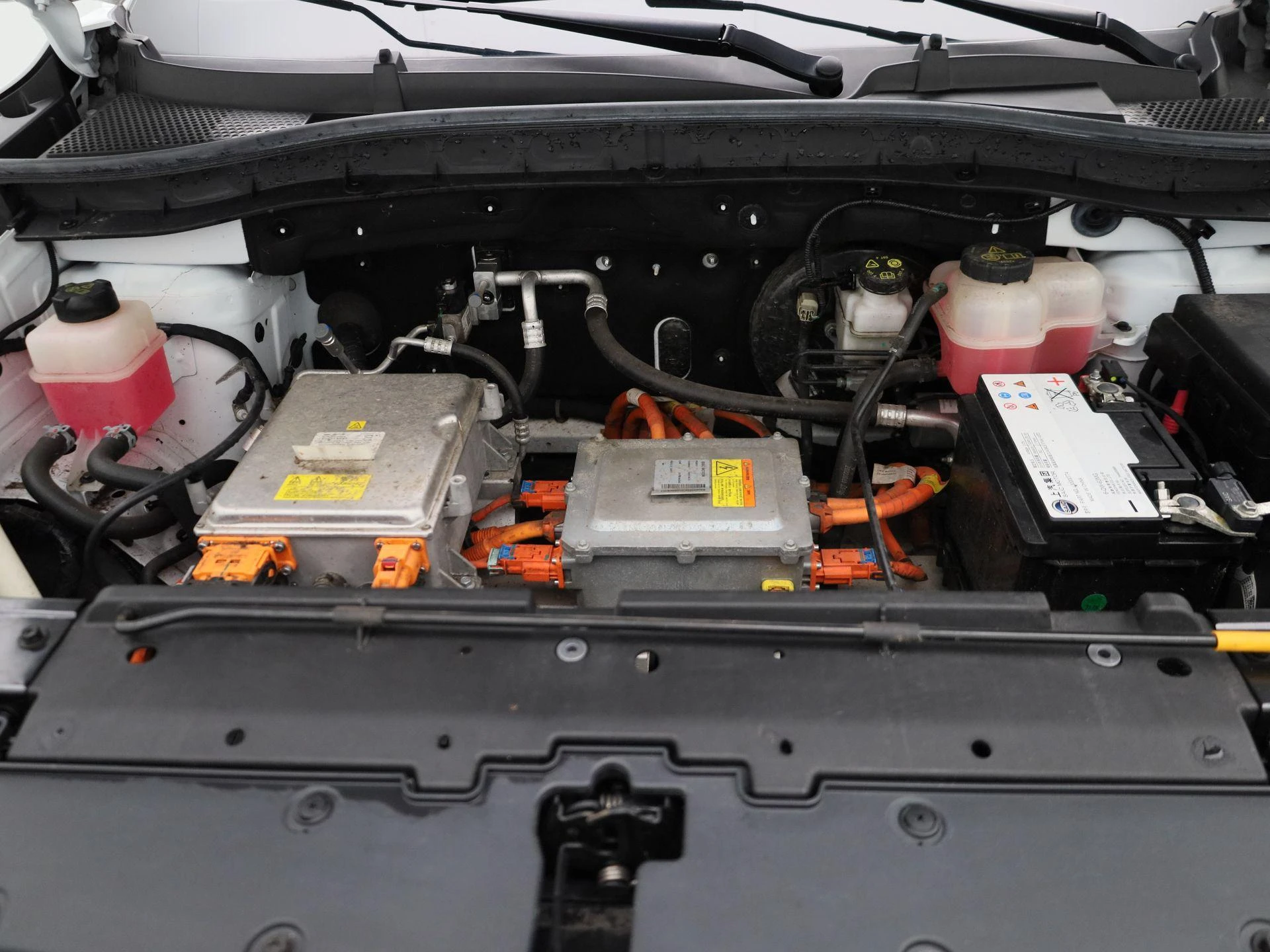MG-ZS EV-image-32