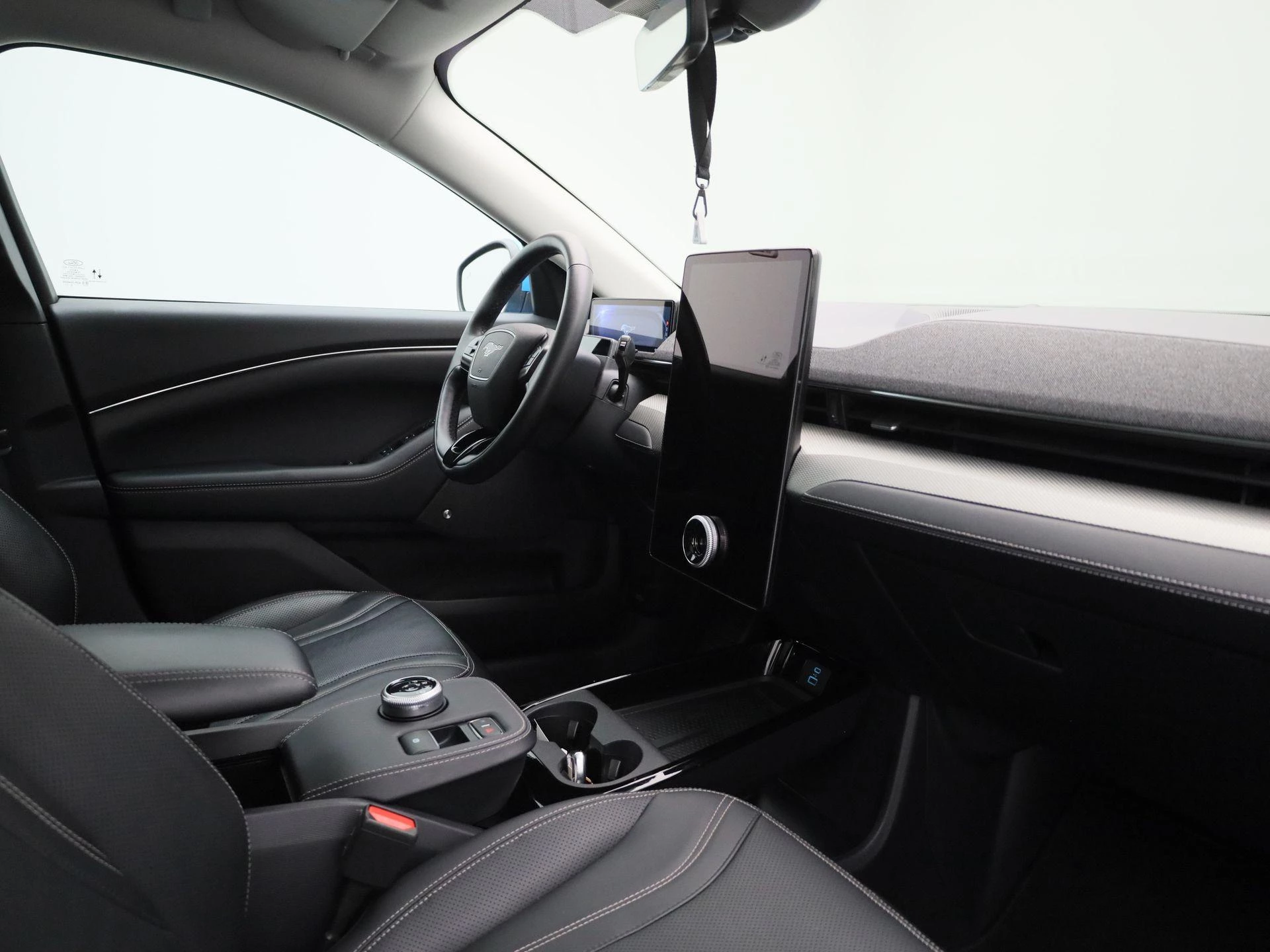 Ford-Mustang Mach-E-image-32