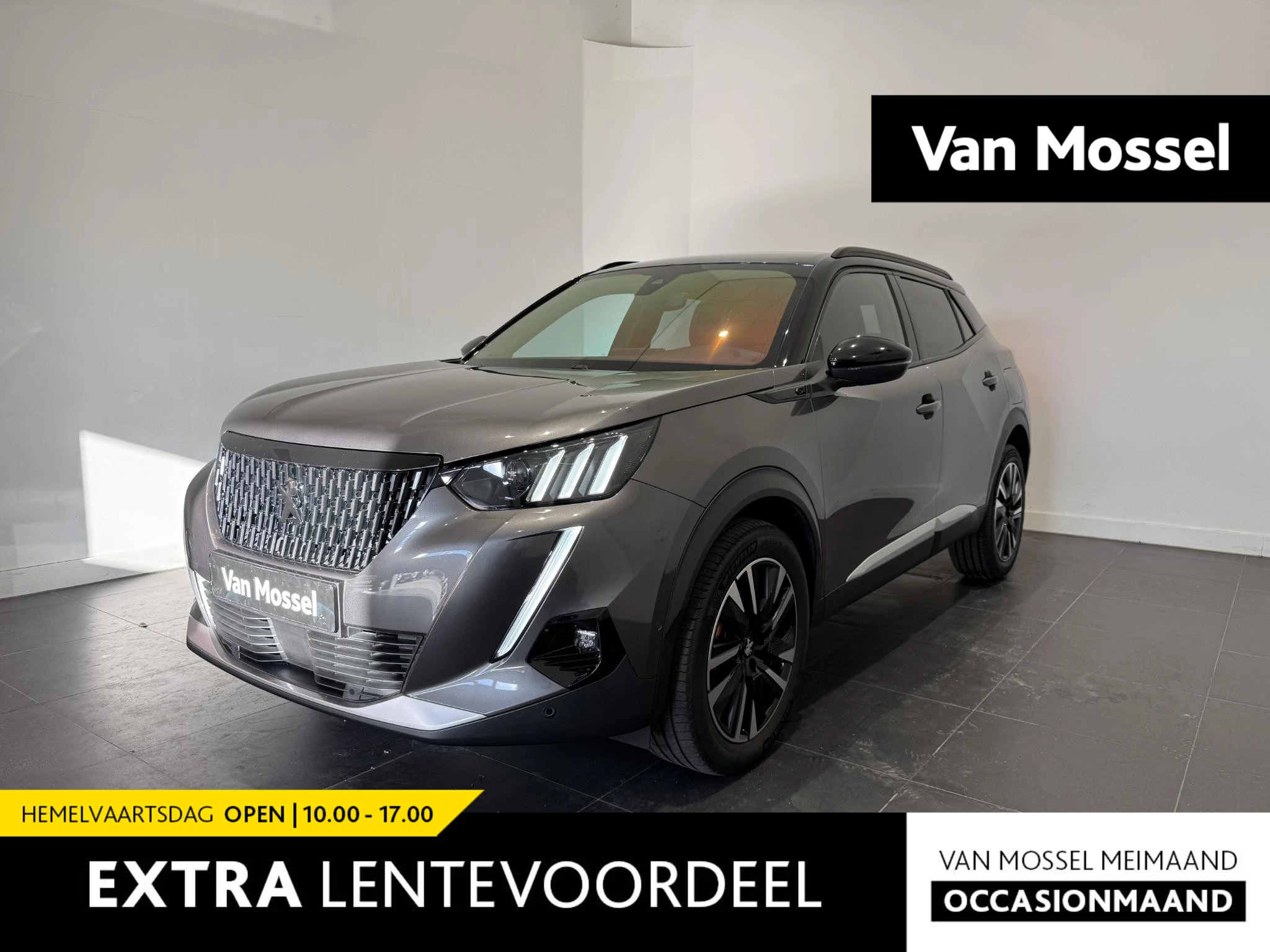 Peugeot-2008-image-0