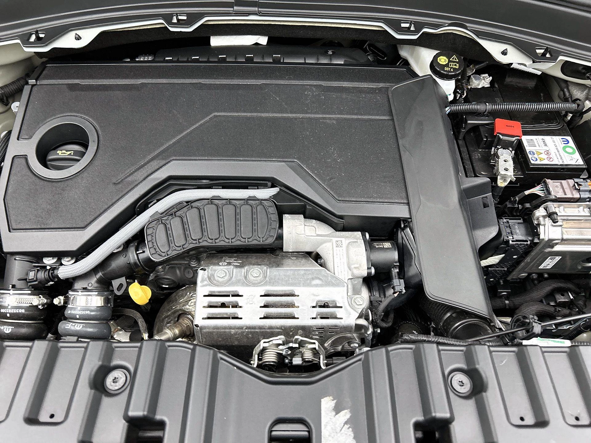 Fiat-Grande Panda-image-24