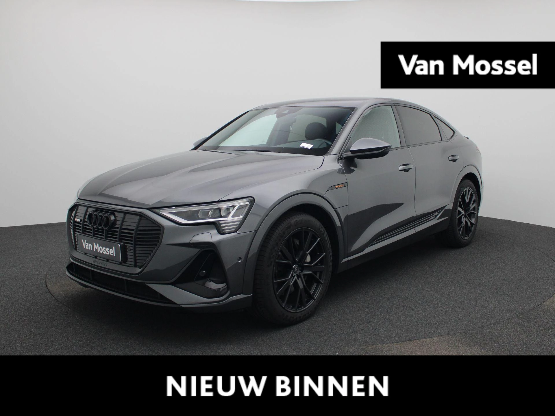 Audi-e-tron-image-0