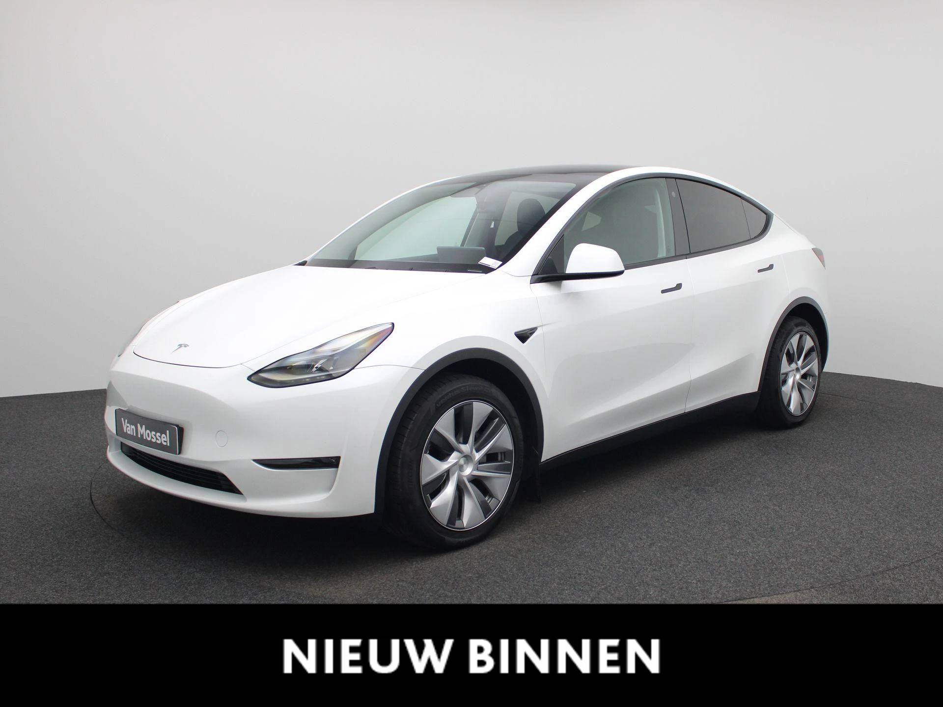 Tesla-Model Y-image-0