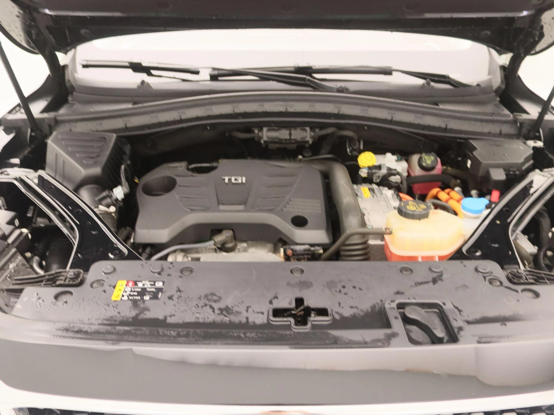 MG-EHS-image-29