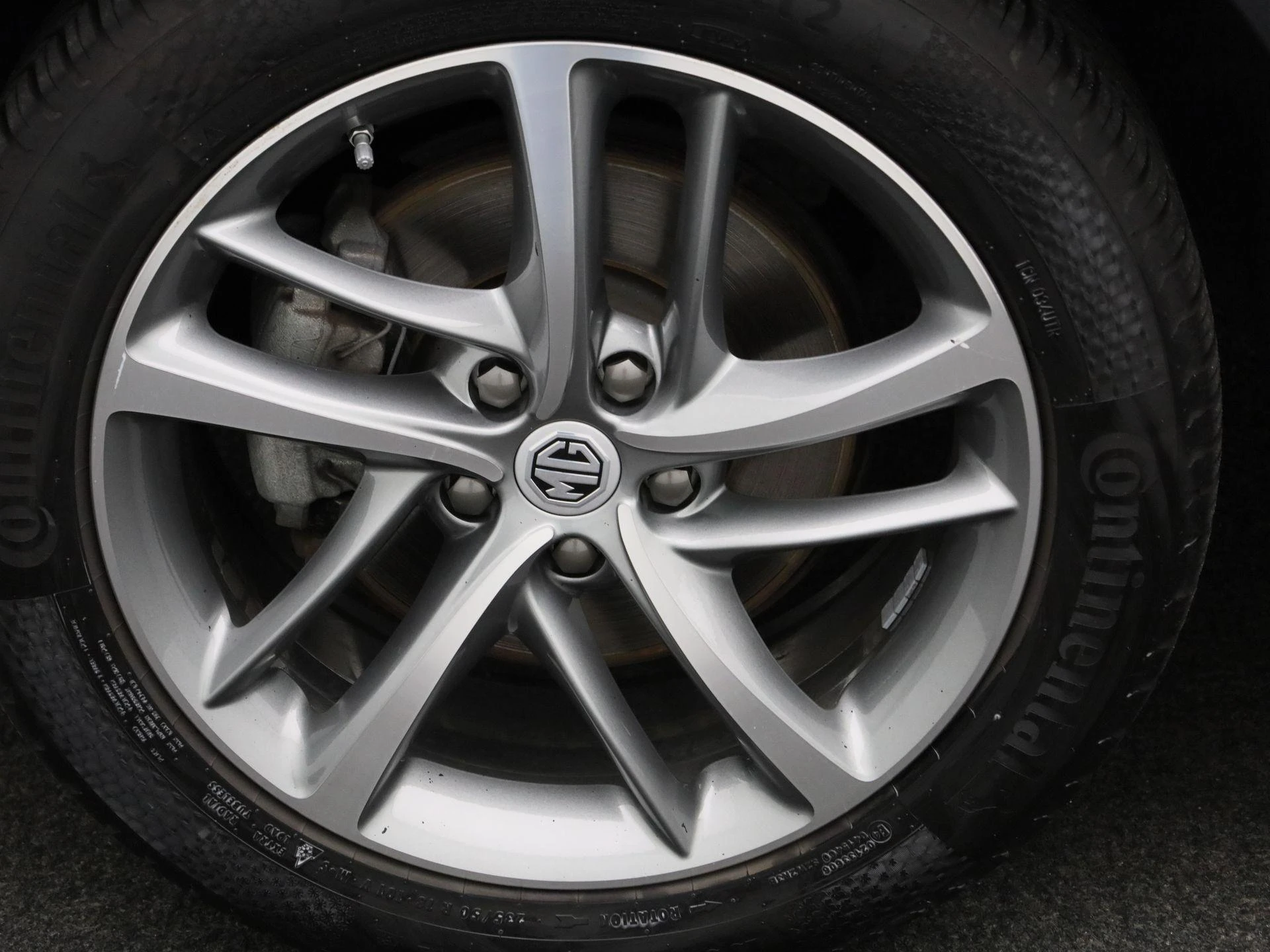 MG-EHS-image-13