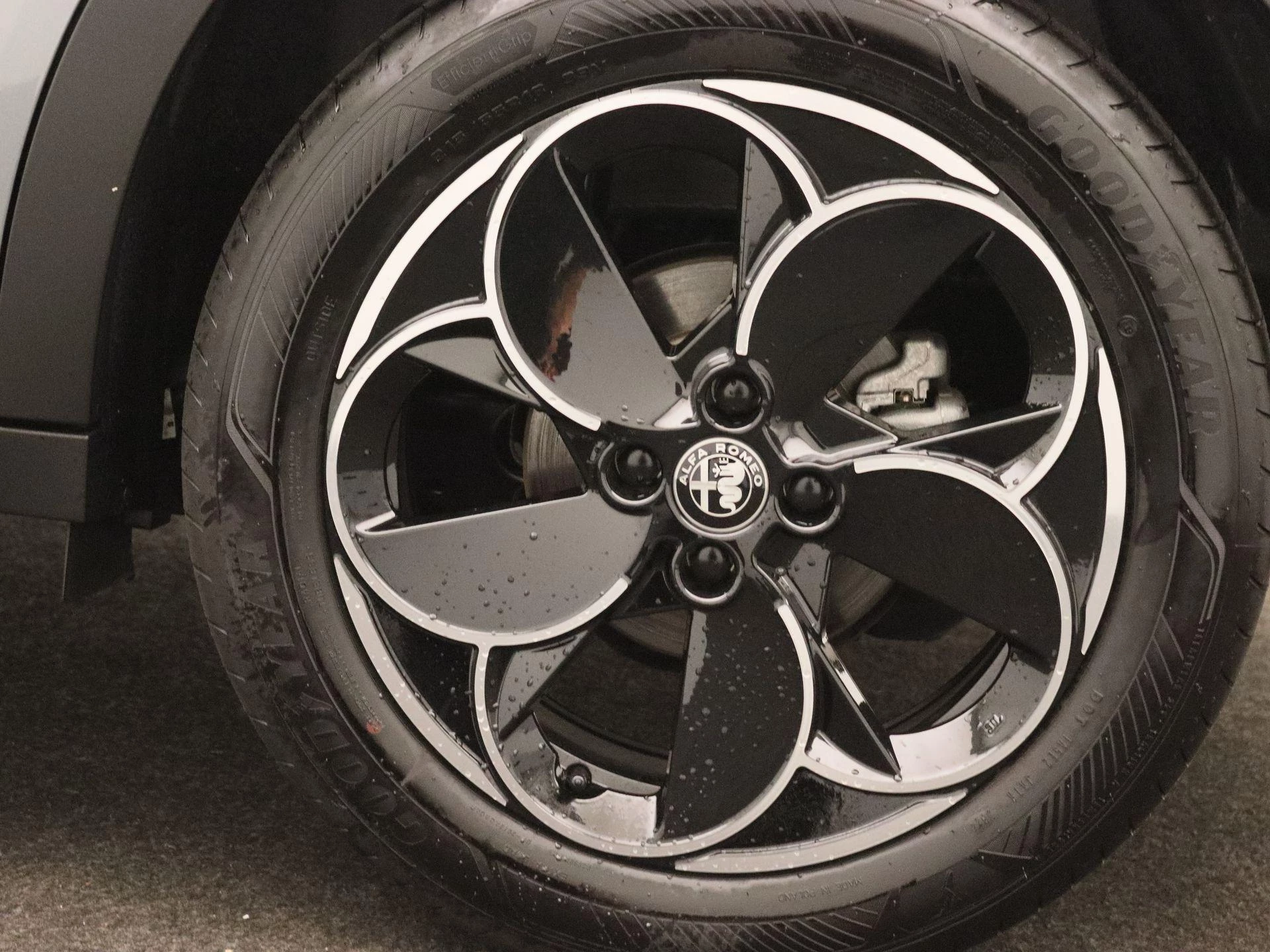 Alfa Romeo Junior Elettrica Speciale 54 kWh
