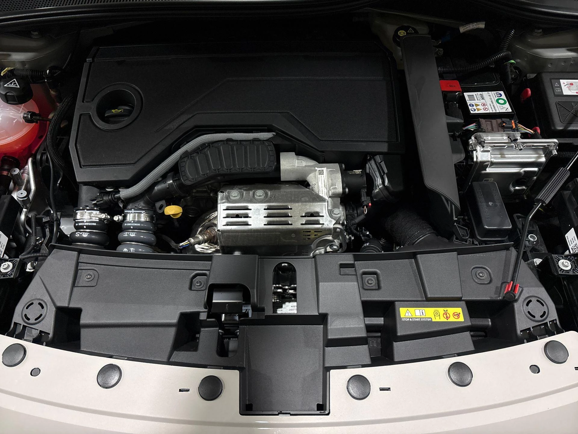 Fiat-600-image-21