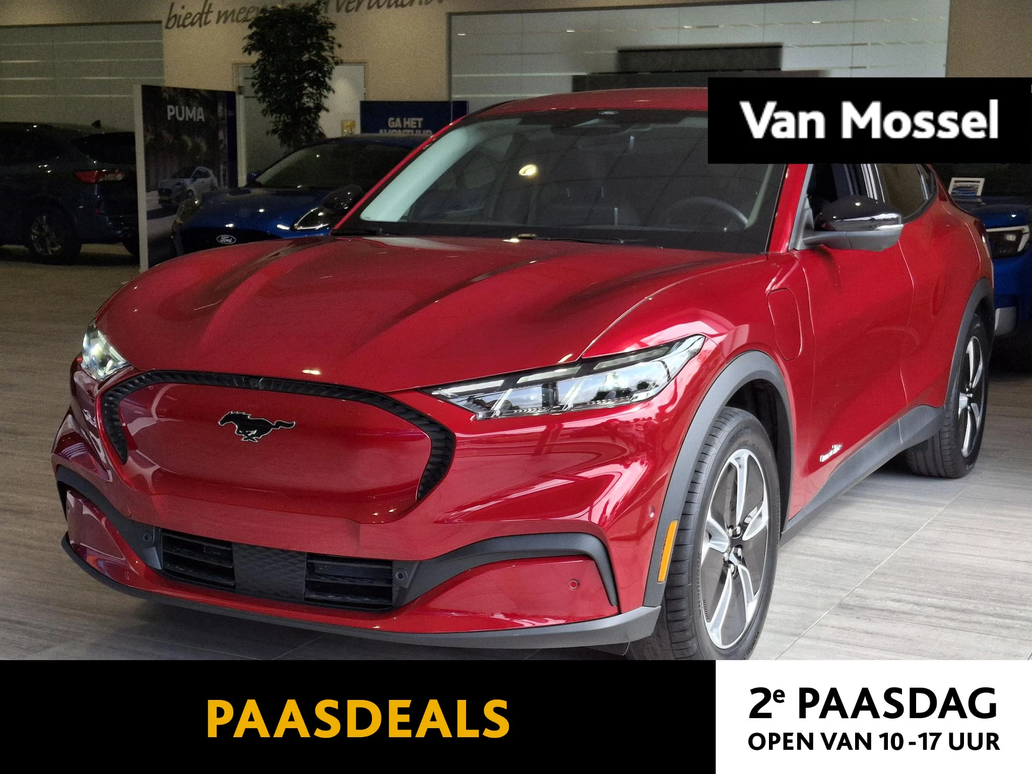 Ford-Mustang Mach-E-image-0