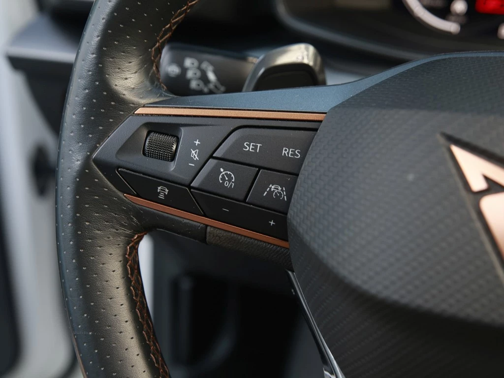 CUPRA Formentor 2.0 TDI DSG 4Drive AHK/Navi/RFK