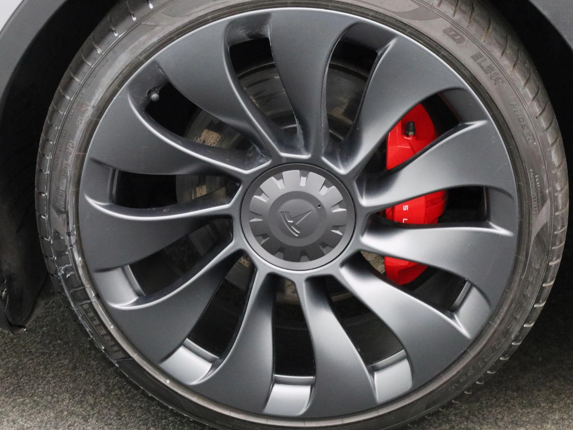 Tesla-Model Y-image-13