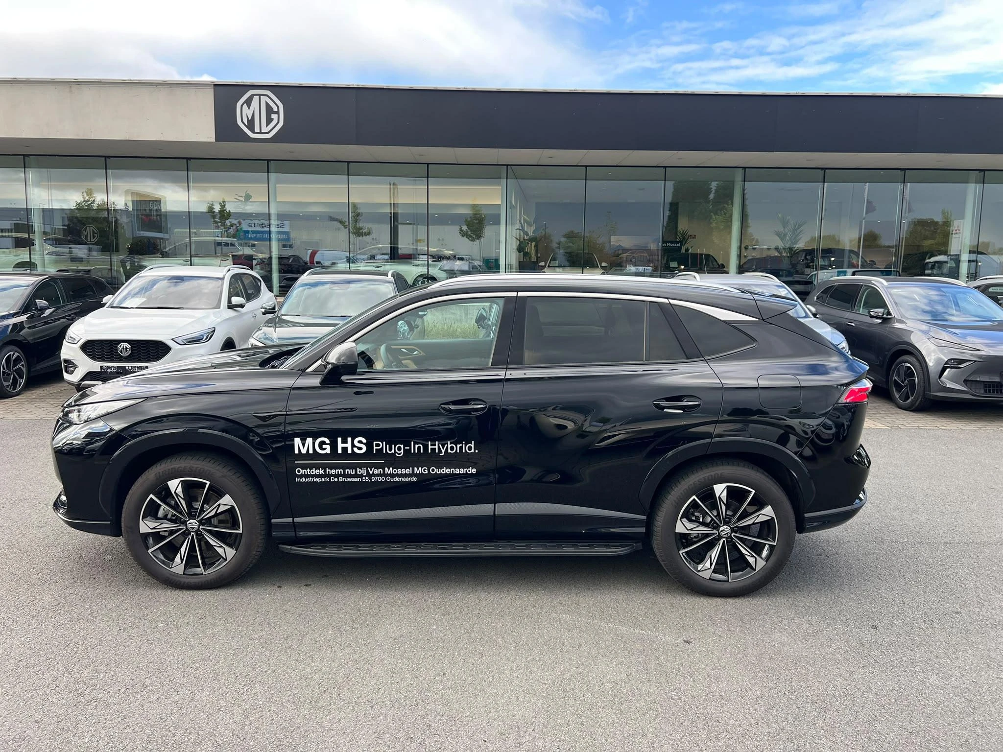 MG-HS-image-5