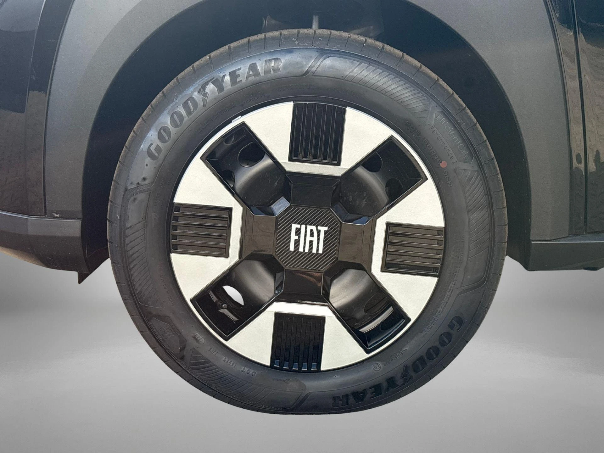 Fiat-Grande Panda-image-25