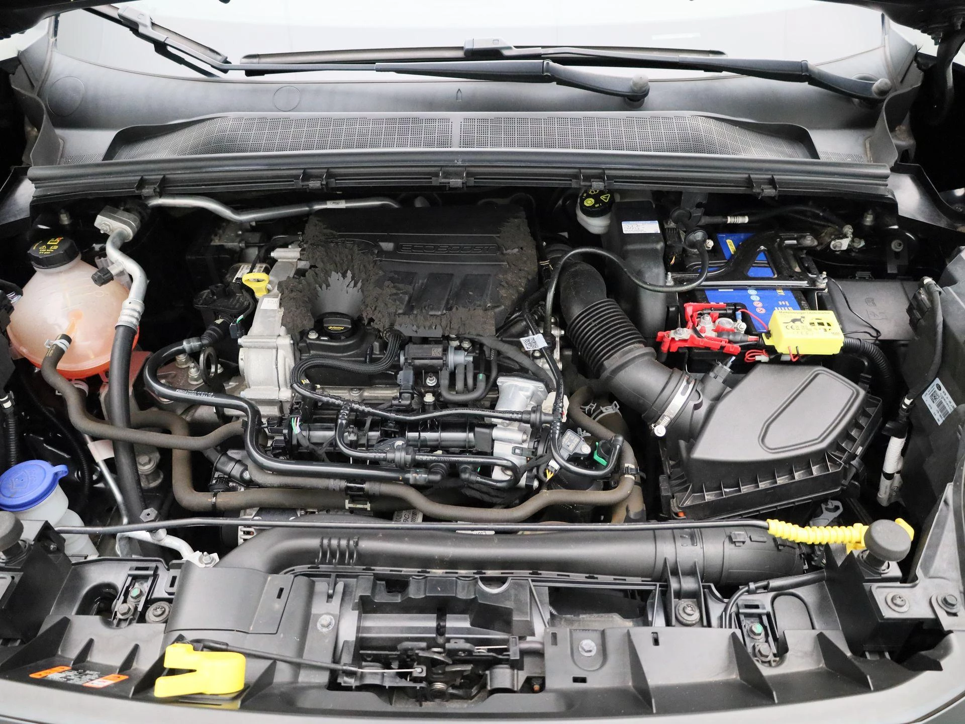 Ford-Puma-image-37