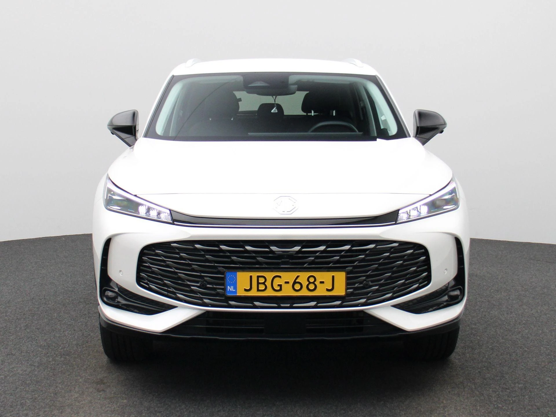 MG-HS-image-2